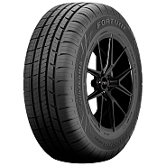 Шины Fortune Perfectus FSR602 205/65 R15 99H XL