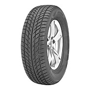 Шины Westlake Snowmaster SW608